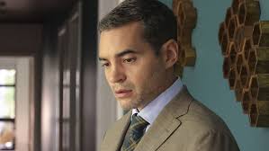 'Will Trent' Review: An Uncommonly Interesting Protagonist Boosts ABC's  Procedural : r/television