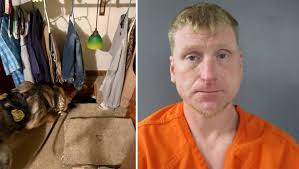 K-9 finds wanted man in crawl space behind trap door