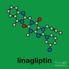 Image result for Linagliptin