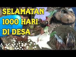 Terima kasih semoga berguna dan lebih cinta uc apan dalam dus mak anan orang meninggal 1000 hari rating:4.8237 bas ed on 2201 v otes. Selamatan 1000 Hari Di Desa Youtube