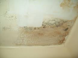 Black Mold Inside Ceiling And Walls Making Me Very Sick Molding Crafty Inventions