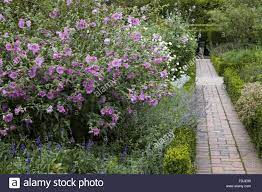 Pin On Backyard Design