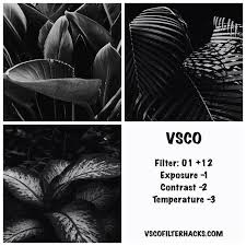 Black And White Vsco Preset Best Vsco Filters For Instagram Feed Vsco Filter Hacks Best Vsco Filters Vsco Filter Instagram Vsco Filter