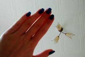 Katsuumi Zalety I Wady Manicure Hybrydowego