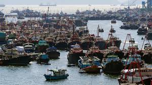 Image result for Gray 1950 Fleet