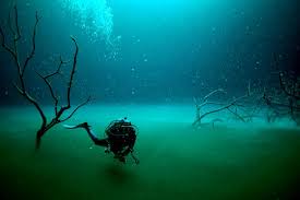 However, some companies have a policy of 14 years old and even more. Diving In Mexico The Best Dive Centers And Dive Sites