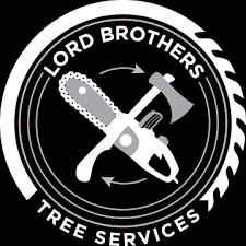 Check spelling or type a new query. Lord Brothers Tree Service Family Owned Operated Tree Service Business
