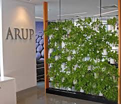 Aesthetically pleasing trends are taking over keeping in mind practicality, functionality and comfort. Indoor Green Wall Partition Novocom Top