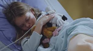 Check spelling or type a new query. Plus Belle La Vie En Avance Lucie Liberee Video Pblv Episode N 4222 Stars Actu