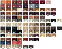 76 Exhaustive Pravana Chroma Silk Color Chart