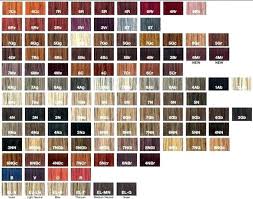 76 exhaustive pravana chroma silk color chart