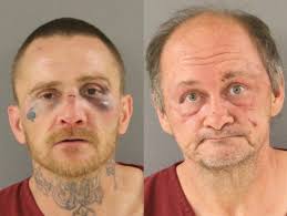 Sheriff: K-9 officers bite two men after one runs from crash scene