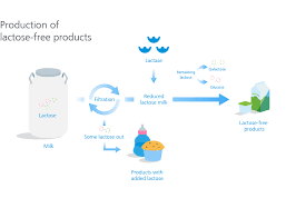 Lactose Free Dairy For Special Diets