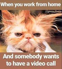 Pin By E A On Laughter Is The Best Medicine In 2020 Morning Quotes Funny Haha Funny Funny Good Morning Quotes