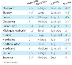 Varieties Of Blueberry Garden Design Ideas
