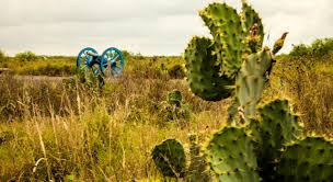 Things to do in brownsville, texas: Brownsville Tex Mex Kultur Und Festivals Im Uberfluss Visit The Usa