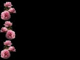 Available for hd, 4k, 5k pc, mac, desktop and mobile phones. Pink Rose Wallpaper Border 3 Desktop Background Black Background With Flower Border 1280x960 Wallpaper Teahub Io