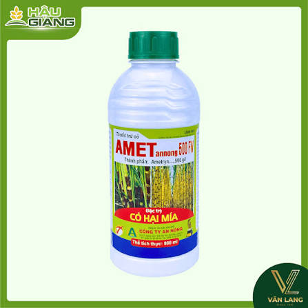 Amet annong 500FW