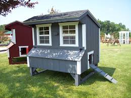 See more ideas about chickens backyard, chickens and roosters, chickens. Cottage Style Chicken Coop For Sale Livingston Farm In Bristol Vt