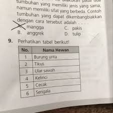 Check spelling or type a new query. Hewan Yang Berkembangbiak Dengan Cara Bertelur Ditunjukkan Oleh Nomor A 1 2 Dan 5 B Brainly Co Id
