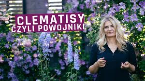We did not find results for: Powojniki Clematisy Uprawa Ciekawe Odmiany Do Ogrodu I Na Balkon Leniwa Niedziela