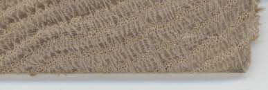 Red oak grain vs white oak grain. Do I Have White Or Red Oak