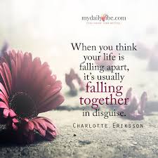 Pin On Mdv Change Transition