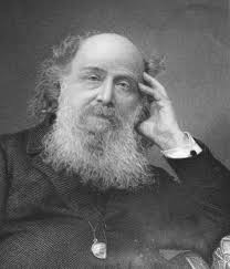 9. Universities and Colleges