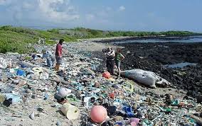 Drowning In Plastic The Great Pacific Garbage Patch Is Twice The Size Of France Great Pacific Garbage Patch Ocean Pollution Marine Pollution