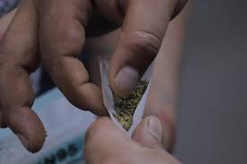 About 70% of the people live in. Mexico Reform Marijuana Policy Human Rights Watch