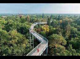 ausfuhrliche infos und bilder vom baum zeit baumkronenpfad in beelitz heilstatten in brandenburg
