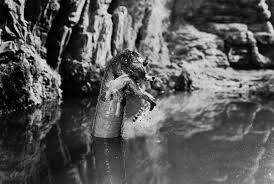 How scientists debunked the Loch Ness Monster | Vox