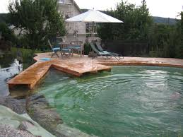 Schwimmteich Bei Tuttlingen Mielke S Naturbadeteich Schwimmteich Naturschwimmteich Gartenpools