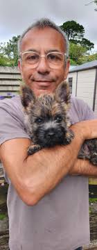 After losing Toby Gregory last year who we treasured we are delighted to  introduce our little Tommy. We feel so blessed and he is a real Dadd's boy 