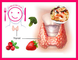 La Belle Diet Club / დიეტკლუბი - კვება და ფარისებრი ჯირკვალი სწორი კვება აუცილებელია, იმისთვის რომ თავიდან აივიცლოთ ის დაავადებები, რომლებიც ...
