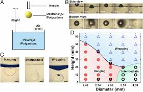hanging droplets from liquid surfaces