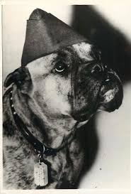 Pin On Wwii