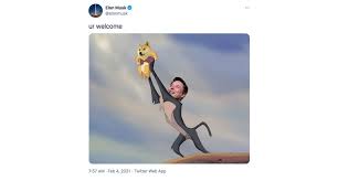 Dogecoin to the moon #dogecoin #doge #dogecointothemoon pic.twitter.com/kbqul6lulm. Dogecoin Doge Cryptocurrency Price News Elon Musk Tweets To Endorse Meme Bloomberg