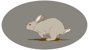 A Little Cell Animation I Made In Photoshop Find It On My Website Here Http Www Kajsarasten Character Design Animation Animation Design Animation Reference