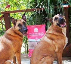 When it comes to your dog's diet, you want the best for his or her health. Open Farm Salmon Ancient Grains Dry Dog Food Review Australian Dog Lover