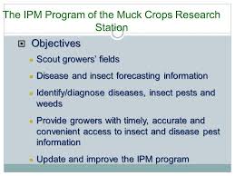 Fields syndrome is one of the rarest diseases in the world. Onion Production In Canada The Challenges Mary Ruth Mcdonald Ppt Download