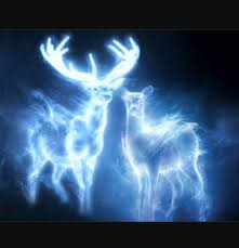 … 6 kingsley shacklebolt's lynx. Harry Potter Wallpaper Patronus