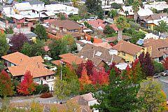 El símbolo de la ciudad es un distintivo heráldico que interpreta las tradiciones cívicas más honrosas de los primeros pobladores españoles de curicó; Curico