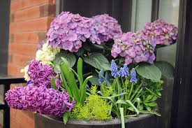 Same day or next day delivery is available. 12 Stunning Spring Container Gardens