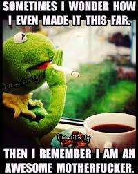 Pin On Kermit The Frog