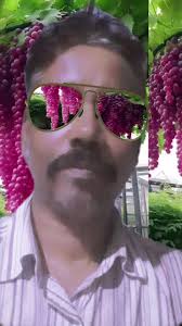 វីដេអូ​របស់ PRADIP PAUL (@pradip.paul010) ជាមួយ original sound