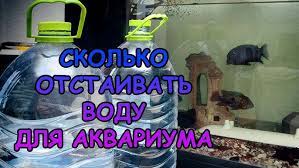 Как отстаивать