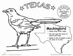 Texas State Bird Worksheet Education Com In 2020 State Birds Texas Geography Kindergarten Texas