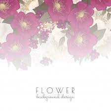 Pin On Flower Border Designs And Frame Templates