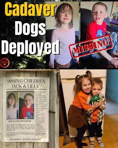 👉 Full story: https://us.gymroomathome.com/77258/ 🚨💔 “I NEED THEM HOME”  — Mother CLINGS TO HOPE as Search for Missing Nova Scotia Children Continues  Jack and Lilly's mother says she still believes her missing